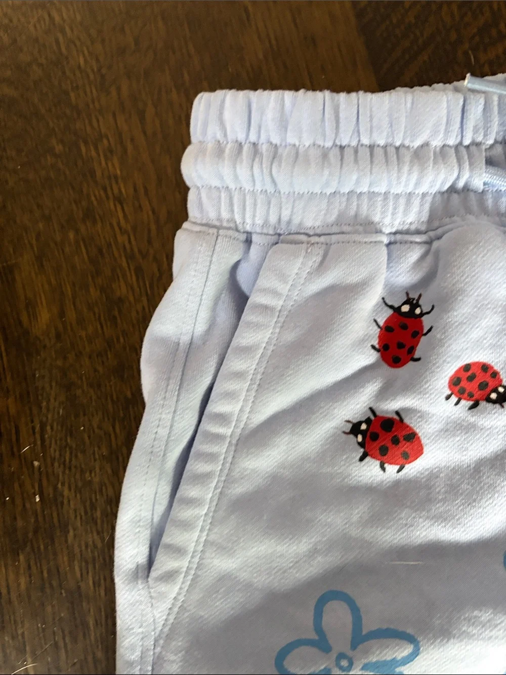Light blue Graphic Lounge Shorts with Ladybugs & Flowers - Picture 3 of 5